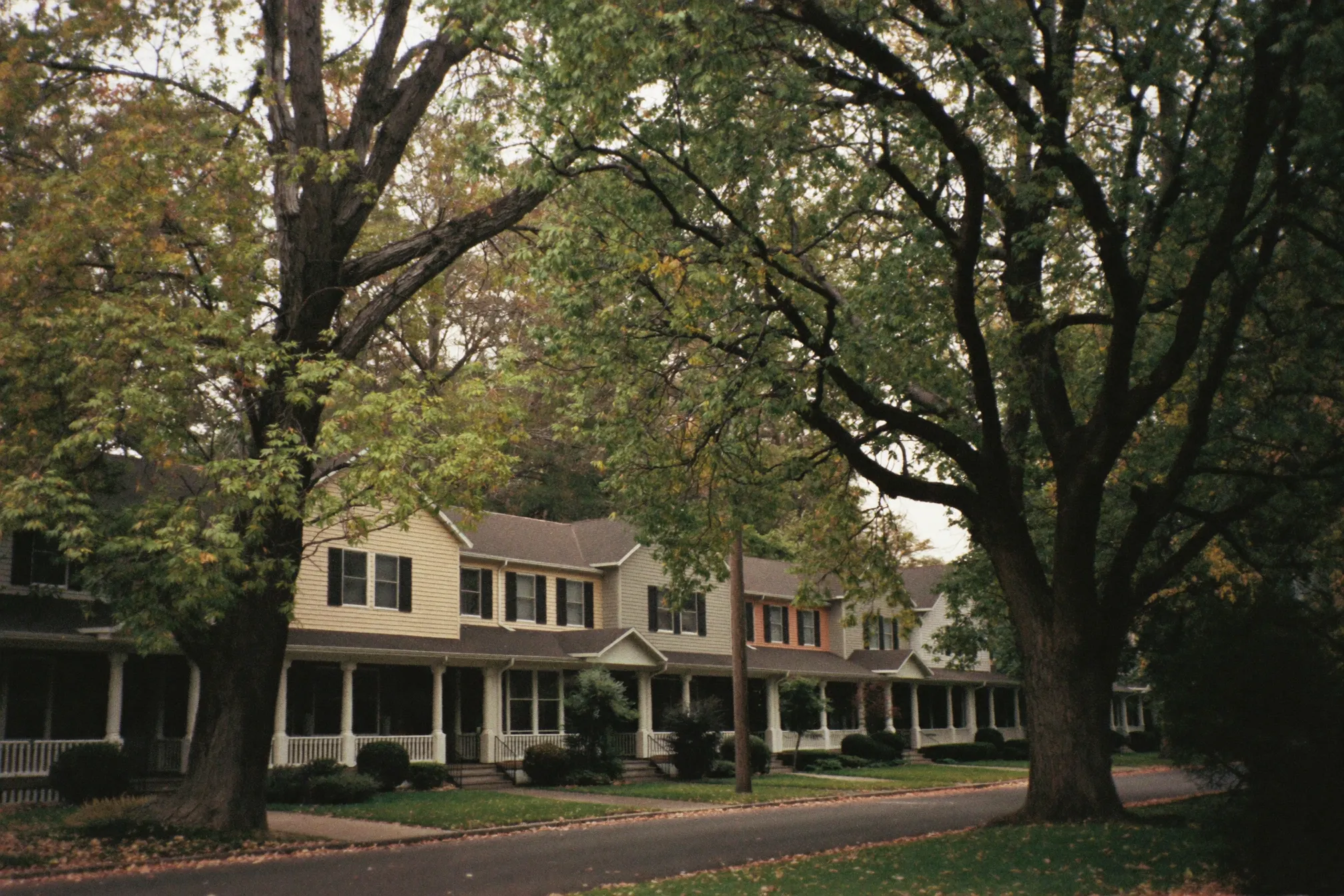 A tree-lined street of craftsman bungalows in Boise's North End